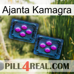 Ajanta Kamagra 03